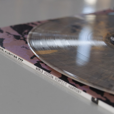 539 vinyl   spine